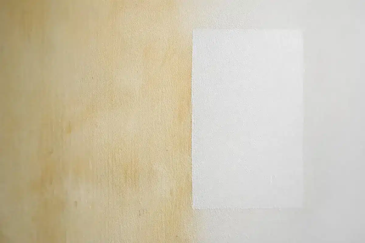 mur jauni par le tabac état des lieux